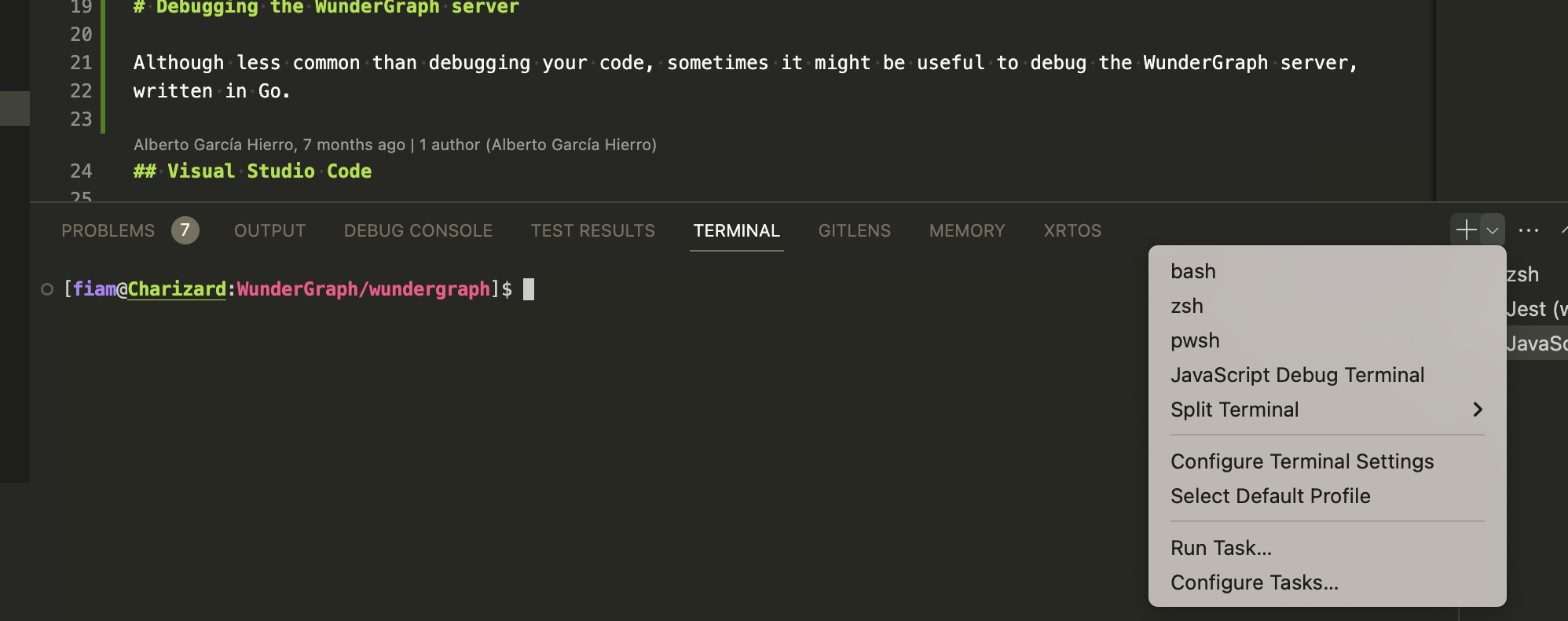 JavaScript Debug Terminal in Visual Studio Code